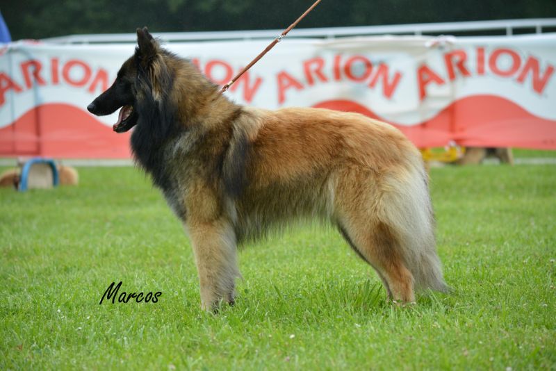 41-NEVADA DE FONTESERRA